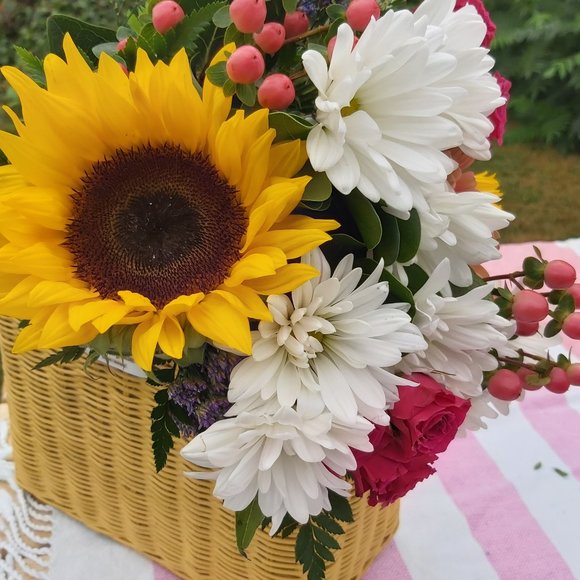 Meet your Posher, Millie - Picture 2 of 2